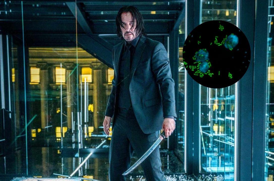 Keanumicinas - Bactérias letais inspiradas em Keanu Reeves