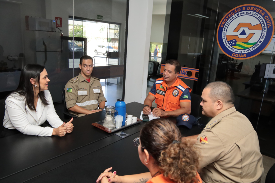 Equipe de Vilela e Defesa Civil de Goiás preparam ações integradas em Aparecida