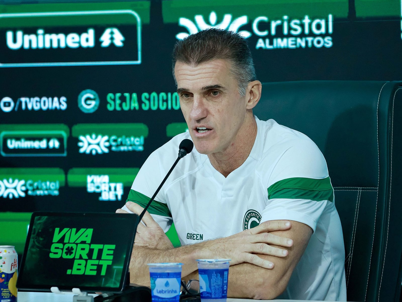Goi&aacute;s