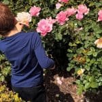 Meghan Markle publica fotos com Lilibet e Archie, filhos com Príncipe Harry