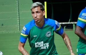 Goi&aacute;s