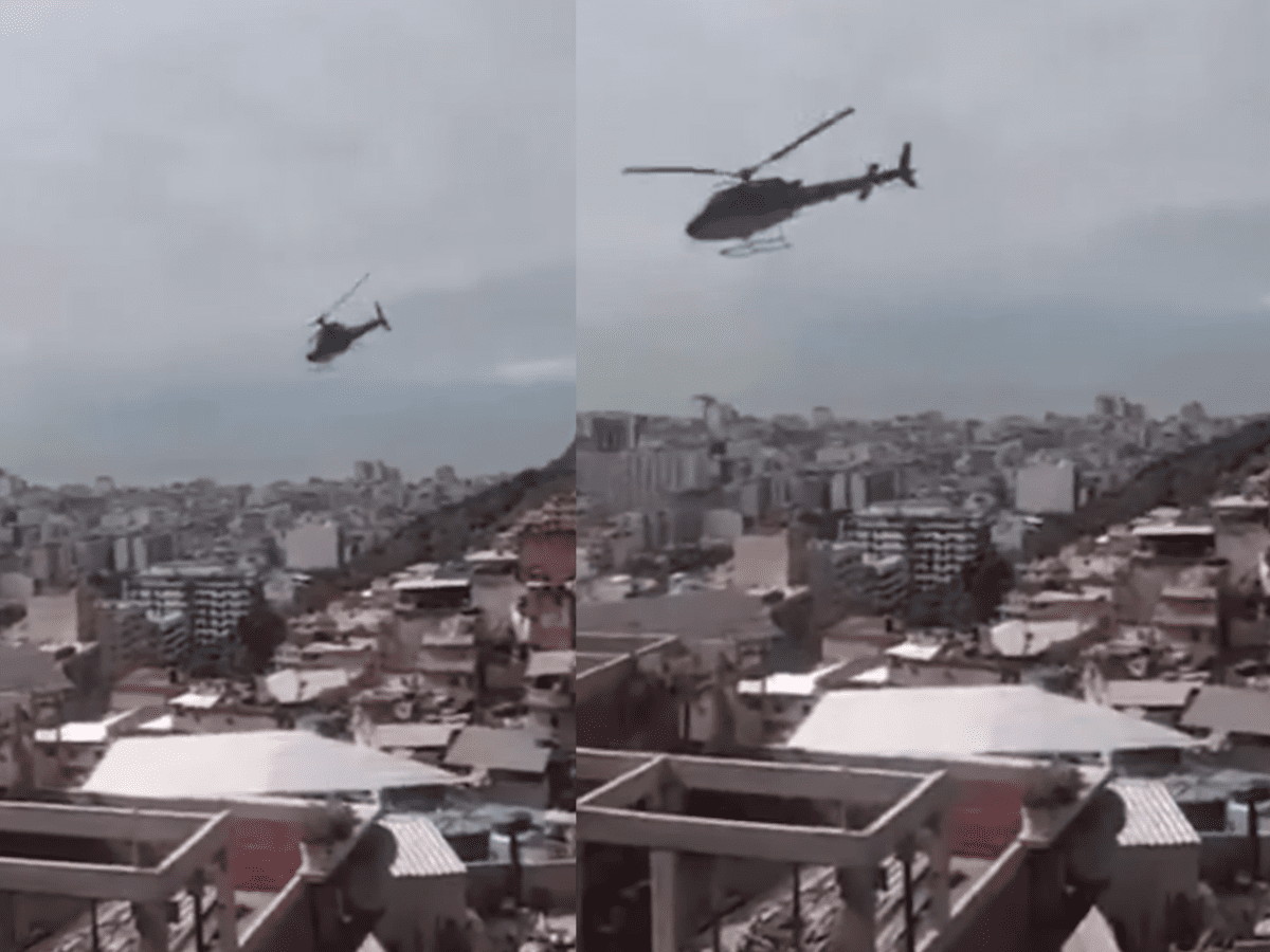 Reprodução Reprodução