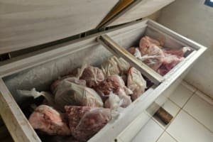 Abatedouro em Aragoiânia é interditado após ser flagrado com mais de uma tonelada de carne imprópria para o consumo