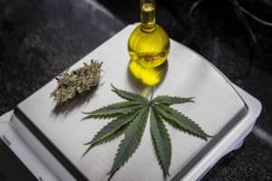 ANVISA propõe venda de CANNABIS medicinal em farmácia de manipulação