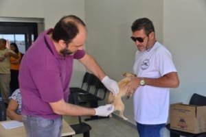 Aparecida de Goiânia reforça vacinação antirrábica nesta semana