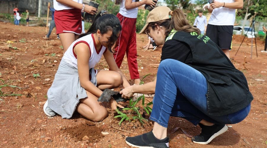 Aparecida planta árvores para recuperar nascente do Córrego Tamanduá