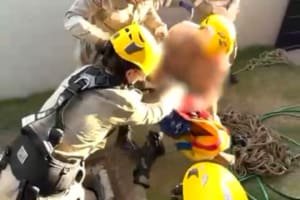 Bombeiros resgatam chança que calu em sumidouro em Anápolis