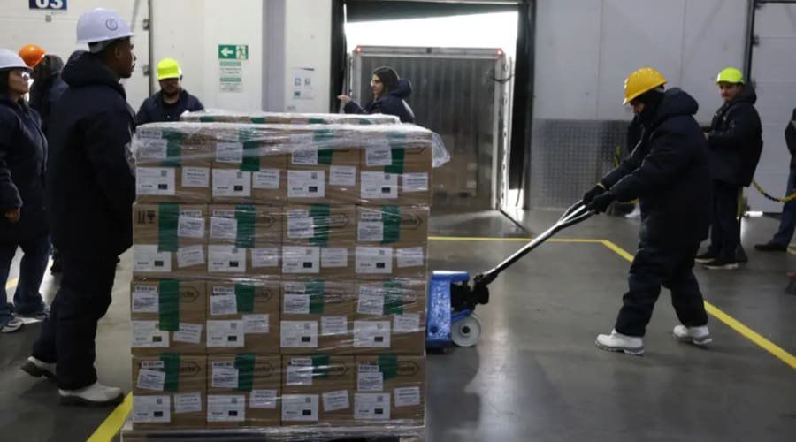 Brasil recebe lote de medicamento para tratar câncer de mama no SUS