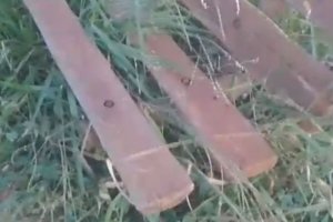 População reclama de abandono da Praça Aparecida Park