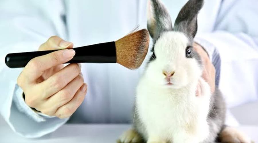 Câmara aprova fim de testes com animais em cosméticos no Brasil
