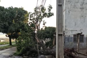 Chuvas fortes com ventos e raios podem danificar rede elétrica em Goiás