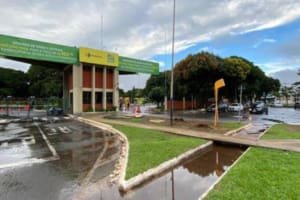 Cuidado! Perfis falsos anunciam leilões do Detran Goiás para aplicar golpes
