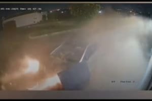Em ação rápida, PCGO prende motorista de app por assassinar vítima a tiros dentro do próprio carro