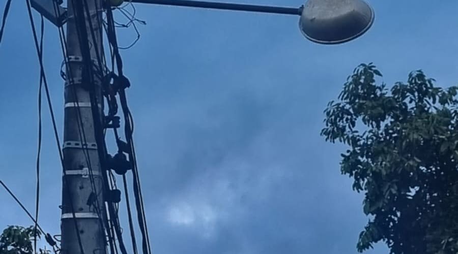Equatorial faz poda de árvore e vira luminárias de postes para cima no Jardim Buriti Sereno