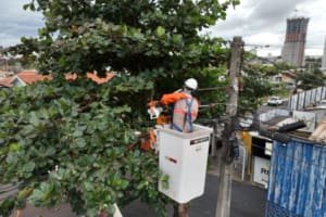 Equatorial Goiás realiza mais de 200 mil podas preventivas em 2025