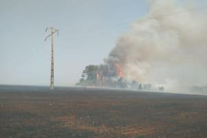 Equatorial Goiás registra 30 ocorrências de queimadas