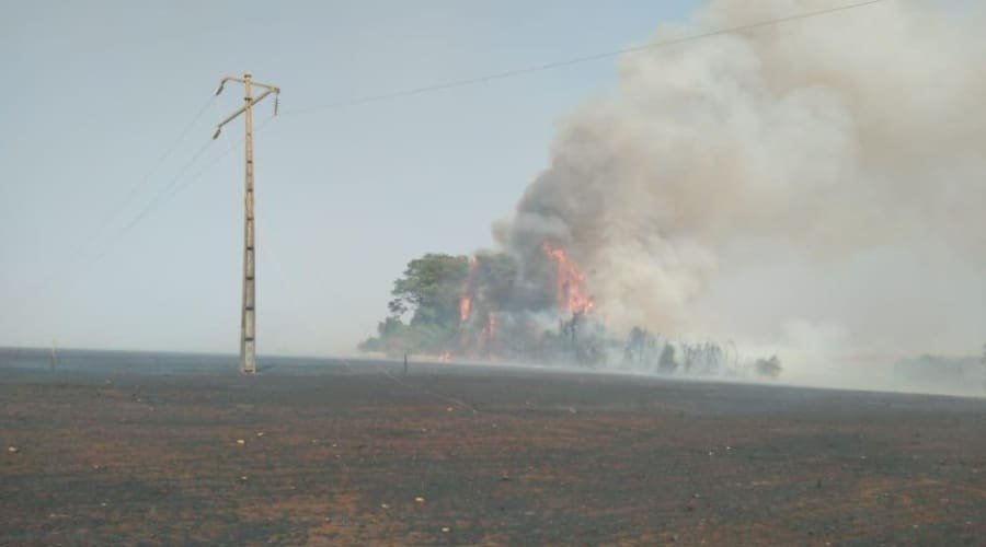 Equatorial Goiás registra 30 ocorrências de queimadas