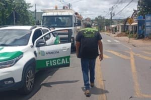 Equatorial tem caminhões apreendidos por mutilação de árvores