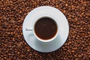 EUA: café, cacau e recursos naturais poderão ficar isentos do tarifaço