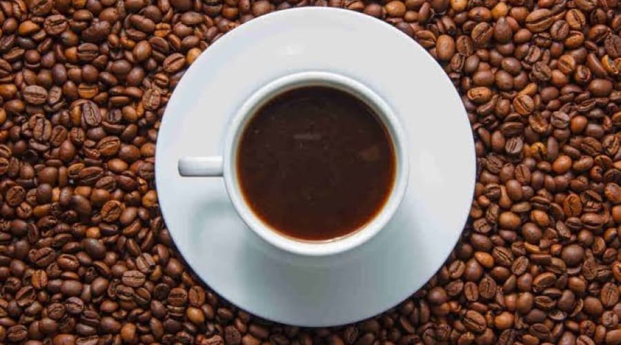 EUA: café, cacau e recursos naturais poderão ficar isentos do tarifaço