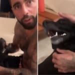 Cintia Dicker atualiza como está cachorro resgatado por Pedro Scooby no RS