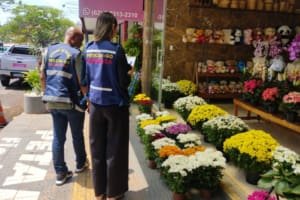 Fique Atento! Variação em preços de flores para Dia de Finados