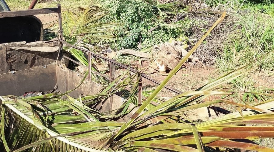GCM e Semma atuam em novo flagrante de descarte irregular em Aparecida