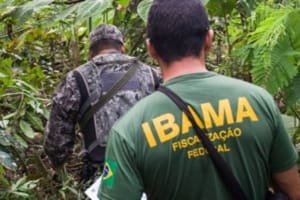 Ibama abre inscrições para concurso com 460 vagas e salário de até R$ 9,9 mil