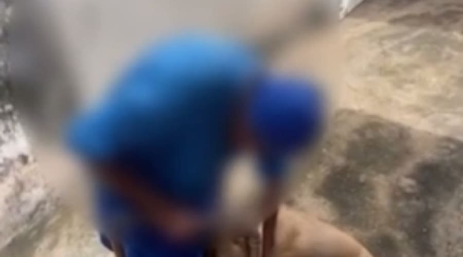 Idosa chora ao reencontrar cadela que tinha sido furtada pelo neto, diz delegado