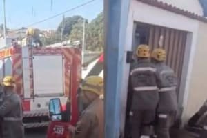 Idosa morre após ataque de pit bull em Anápolis