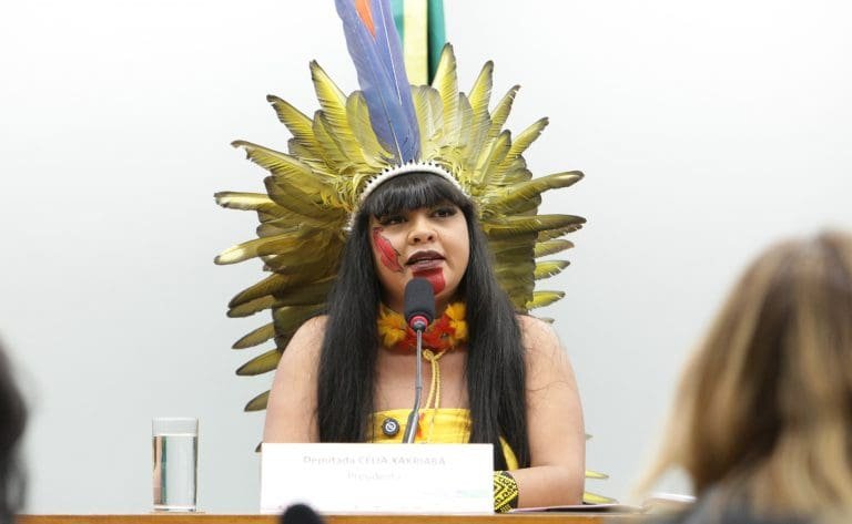 Fórum Parlamentar do BRICS começa na terça com reuniões de mulheres e comissões de Relações Exteriores deputada Célia Xakriabá em reunião de comissão