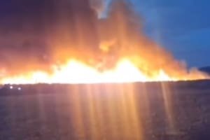 Incêndio em fazenda de cana mobiliza bombeiros e voluntários em Jataí