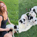 Giovanna Ewbank e família resgatam cachorros abandonados na estrada do rancho