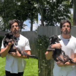 Julinho Casares lista melhores coisas a se fazer para manter saúde dos pets em dia