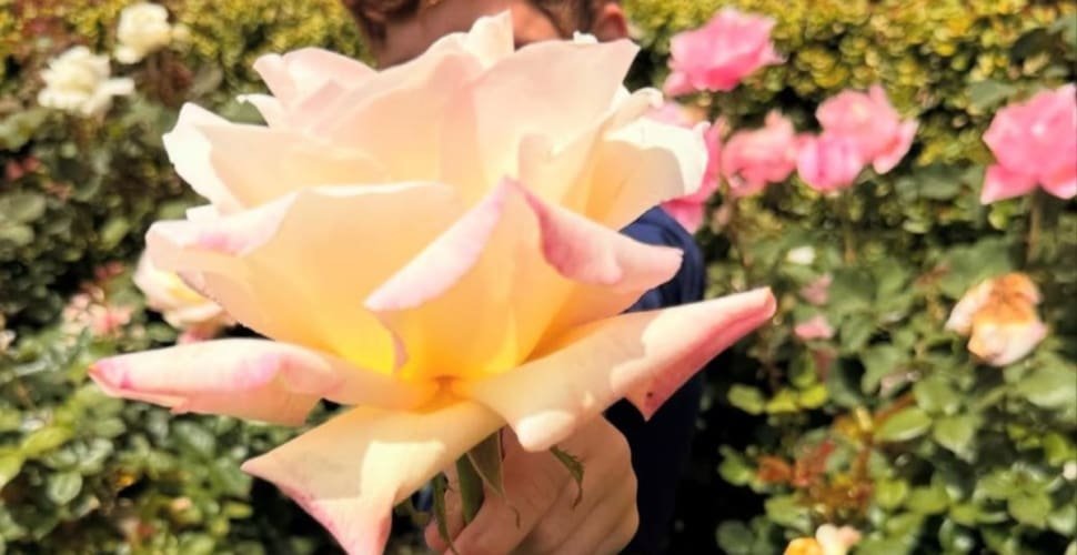 Meghan Markle publica fotos com Lilibet e Archie, filhos com Príncipe Harry