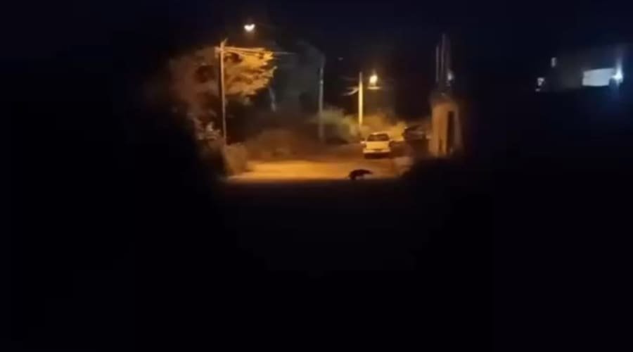Moradores do Jardim Dom Bosco I reclamam da falta de iluminação pública