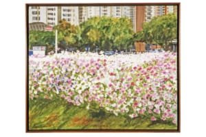 Museu de Arte de Goiânia reabre ao público após revitalização