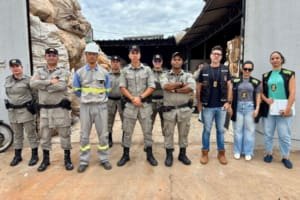 Operação conjunta termina com cinco detidos, objetos apreendidos e três ferros-velhos interditados em Aparecida