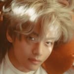 Álbum de V, do BTS, é ignorado em novo projeto e causa revolta nas Armys