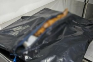 Polícia Civil prende homem por maus-tratos a animal em Goiânia