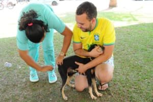 Dia D de vacinação antirrábica ocorre sábado em Aparecida