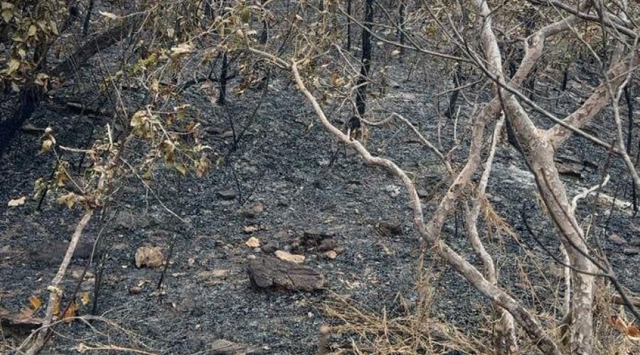Prevenção: é proibido atear fogo em lotes baldios em Aparecida