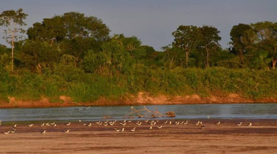 Rio Araguaia atinge menor nível histórico para agosto em Nova Crixás