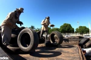 Saúde de Aparecida inicia mutirão de coleta de pneus nesta segunda, 20