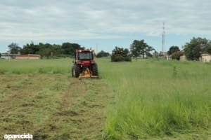 Sob determinação de Vilela, força-tarefa de limpeza urbana é intensificada nesta semana