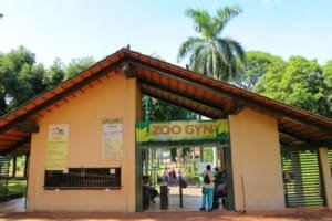 Zoológico de Goiânia é reaberto após cisne testar negativo para gripe aviária