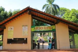 Zoológico de Goiânia fecha temporariamente após morte de cisne negro