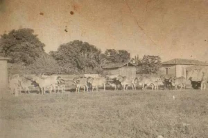 Praça da Matriz, década de 1930 | Foto: Nilda Simone/Acervo