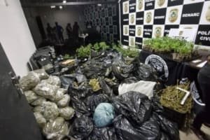 PCGO fecha laboratório de “supermaconha” e apreende R$ 2 mi em drogas