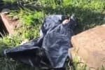 Bebê é encontrado morto em caixa de gordura de condomínio em Aparecida